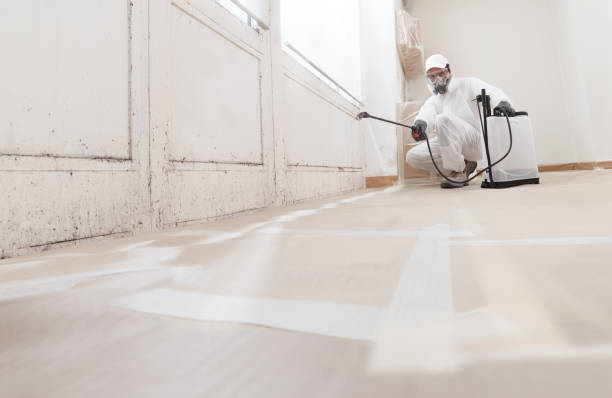 24/7 Emergency Mold Inspection experts in Lowell, MI
